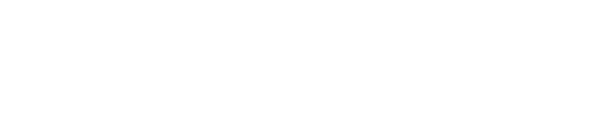Cyberei Technologies